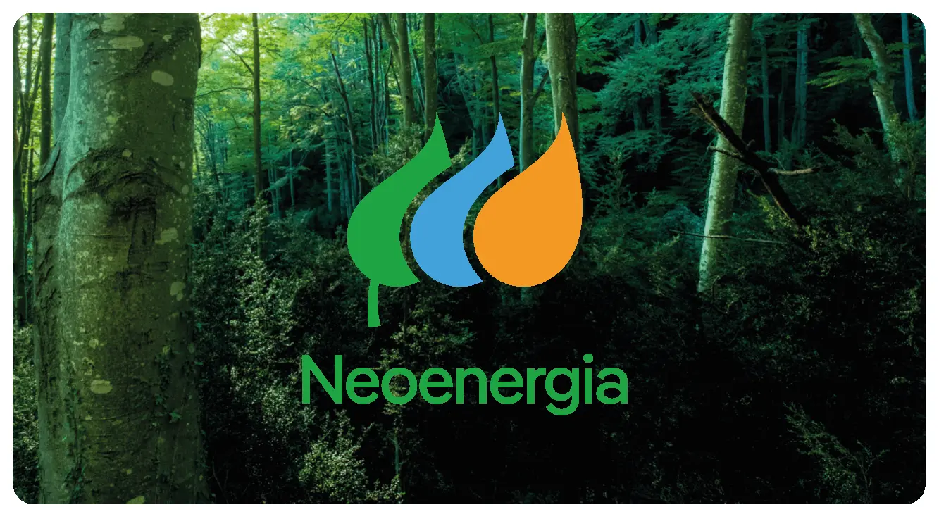 Neoenergia